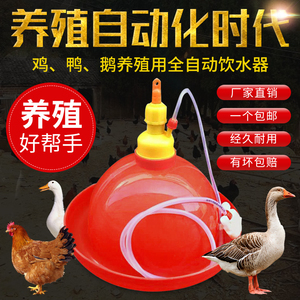 加厚普拉松养鸭鹅鸡用自动饮水器喂水器加水壶养鸡养殖设备鸡用品