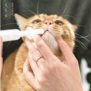 丸丸家 pidan宠物喂药器 宠物猫咪喂水喂药喂奶 颗粒喂药针筒便捷