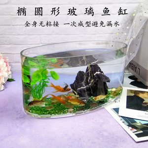 椭圆形直筒玻璃鱼缸超白玻璃无粘接玻璃缸乌龟缸简约桌面鱼缸出口