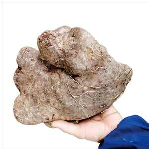 广西特产 玉林容县农家现挖紫大薯 脚板薯白心肉紫山药薯 5斤包邮