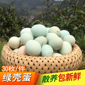 湖南湘西芷江农家绿壳鸡蛋 散养乌骨鸡蛋新鲜绿皮土鸡蛋30枚每份