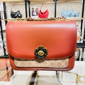 美国代购coach madison麦迪逊专柜款山茶花蛇皮链条单肩斜挎女包