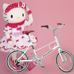 zxc自行车学生女