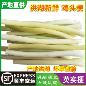 【鸡头苞】鸡头苞品牌,价格 阿里巴巴