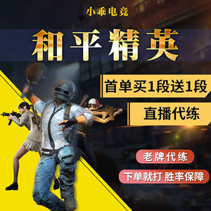 和平精英代练打排位纯手工代打刷刺激战场上分吃鸡王牌段位陪玩练