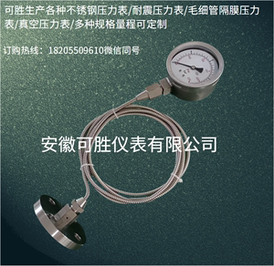 法兰DN25毛细软管延长连接不锈钢隔膜耐震压力表Y-100/0-60MPA