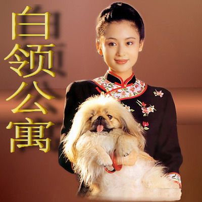 娘子写白领公寓店