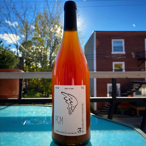 金桔菠萝 法国卢瓦尔河谷loire plume长相思干白灰皮诺橙酒自然酒