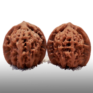 18年新品文玩核桃麻核桃手玩把玩收藏小众41蓟县野生马老四狮子头