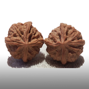 20年文玩麻核桃手把玩件雕刻收藏异形野生千佛山狮子头四道筋四棱