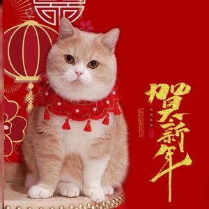 蓝猫咪新年围脖春节仙女红色喜庆宠物布偶猫可爱毛线口水巾项圈