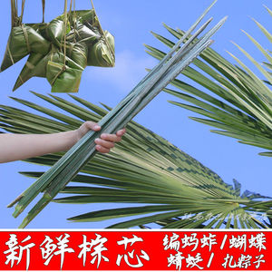 【新鲜采摘】农家棕榈叶棕树叶棕芯diy编制材料包粽子捆绑绳子