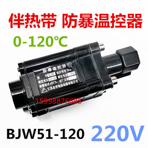 电伴热带BJW-WKQ温控器 电加热带BJW-51防爆温度控制器  220V 16A