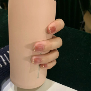 海底捞法式美甲贴片成品高级小红书同款网红爆款显白学生穿戴甲