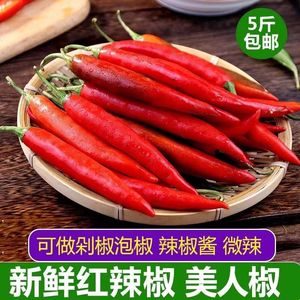 红美人辣椒新鲜福建蔬菜微辣尖椒可做剁椒泡椒1/5斤非小米辣