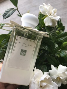 正品代购jo malone 祖马龙 starmagnolia星花木兰香水 香港代购