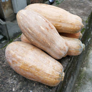 老南瓜粉糯甜长黄南瓜广西蔬菜农家自种新鲜宝宝辅食非贝贝包邮