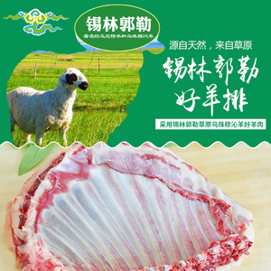 内蒙古羊排羊肉锡盟羔羊肉西乌旗乌珠穆沁六月龄羔羊羊排烧烤