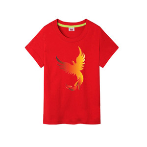 纯棉中国风华夏四大神兽浴火凤凰涅槃短袖t恤衫夏衣服儿童装班服