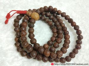 印度龙眼菩提