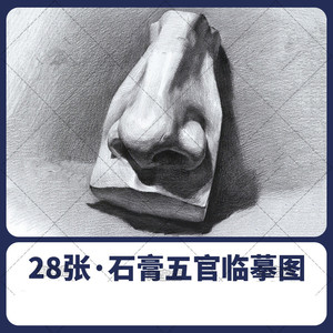 素描石膏五官临摹切面像局部基础知识美术结构光影电子版图片素材