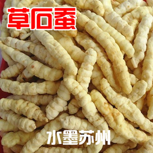 50古都养生堂淘宝新货草石蚕250g包邮中药材地蚕土冬虫草白虫草