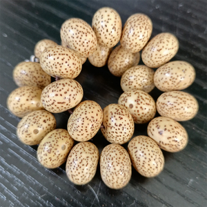 星月菩提原生态籽