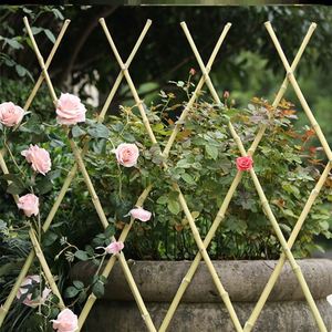 藤蔓植物爬藤架子月季攀爬栅栏户外庭院植物角围栏伸缩花园竹篱笆