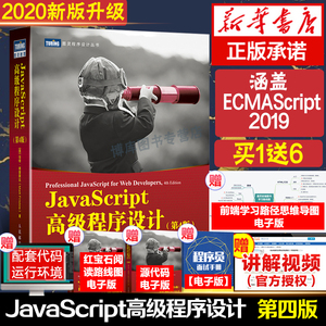 JavaScript高级程序设计 第4版 第四版 红宝石书 js入门到精通书籍 JavaScript 指南配套 前端开发工程师书web开发html网站图书