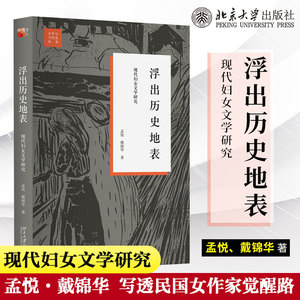 浮出历史地表 现代妇女文学研究 戴锦华 文学与当代史丛书 女性批评理论 运用女性主义研究中国现代女性文学史 北京大学出版社正版