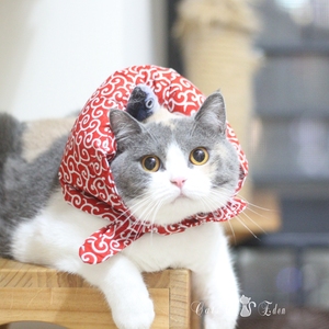 日系唐草宠物猫咪离家出走旅行小包袱小鱼围脖搞笑拍照装鉓围巾