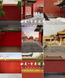 影楼拍照古装古风清宫皇宫喜庆写真故宫全家福红色宫墙摄影背景纸