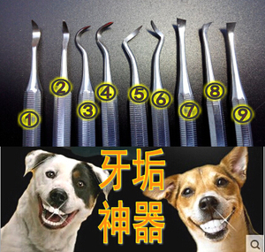 狗狗牙结石工具 宠物去牙结石工具 去除牙石牙垢 洁牙器 包邮