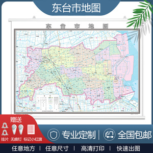 东台行政区划图图片