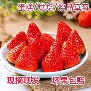新鲜草莓糖葫芦奶茶蛋糕店商用草莓现摘草莓云南鲜果