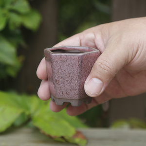 简约迷你控养型拇指盆新品紫砂陶多肉花盆陶瓷桌面绿植盆景素烧小