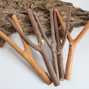 木叉树杈树枝装饰diy幼儿园手工制作干枯实木创意弹弓衣架摆件小