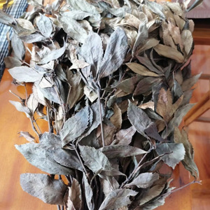 草珊瑚茶