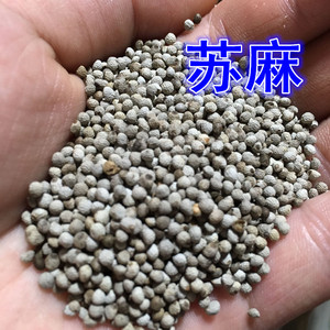 包邮 重庆特产白苏子500g 苏籽酥麻 苏麻做馅料汤圆芯子 烧烤调料