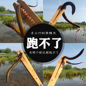杀黄鳝工具黄鳝刀