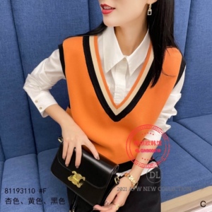 丁螺女装2021秋冬新款欧洲站时尚百搭显瘦v领针织毛衣马甲60915