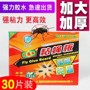 强力粘蝇板家用灭蝇子一扫光粘苍蝇纸苍蝇贴粘贴蚊子的捕捉器神器