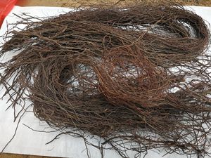 榕树根须500克榕树须中药材 可做布景装饰水族鱼缸造景植物墙藤条