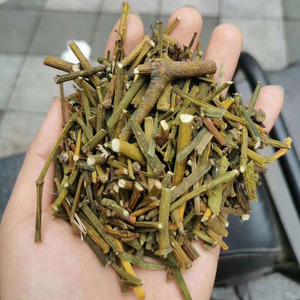 枫树寄生茶500克螃蟹脚螃蟹夹茶水 野生枫香槲寄生扁枝槲寄生新货