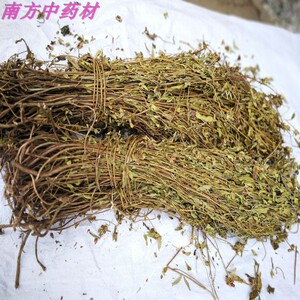 天香炉中草药朝天罐500克 天吊香金锦香仰天盅小金钟金香炉蜂窝草