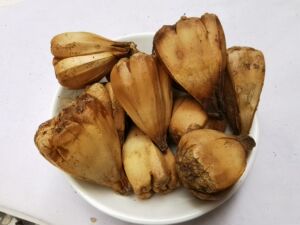 正宗山菠萝中药材野菠萝500克 假菠萝华露兜婆锯筋露兜树籽可磨粉