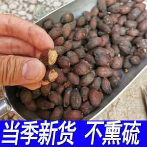 葵扇子中药