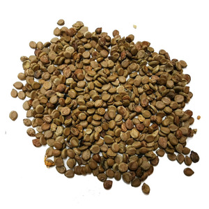 望江南中药材蛇灭门种子500克 广西望江南籽 野扁豆 狗屎豆夜关门