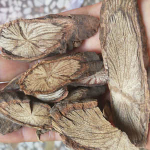 金锁匙中草药野生金线风中药材银锁匙百解藤毛粪箕笃500克 根部