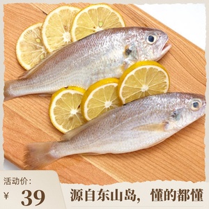 东山岛海鲜加芒鱼 莱客生鲜500g 野生海捕活冻白姑鱼小黄花鱼